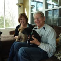 <p>Dale and Gail Bergman with Nina and her pups, Quentin and Quarter</p>
