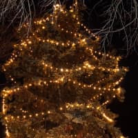 <p>Eastchester lit the town Christmas tree at its annual ceremony.</p>