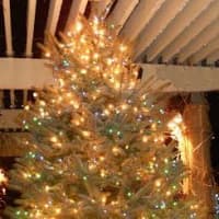 <p>The Tree of Light will remain on display on the Greenwich Hospital Garden Terrace through December before becoming a permanent part of the Carl and Dorothy Bennett Community Garden at the hospital.
</p>