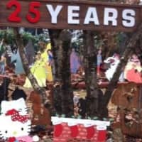 <p>The Christmas Village display put up each year by Rick and Joan Setti is celebrating its 25th anniversary this winter.</p>