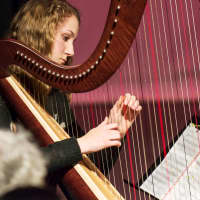 <p>Student Lily Brouwer plays harp.</p>