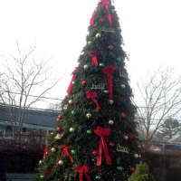 <p>The tree in Zangrillo Park brings the Christmas spirit to downtown Darien.</p>