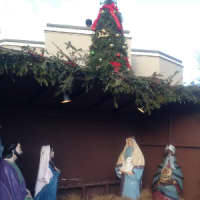 <p>A Christmas Tree overlooks the Nativity scene near the Darien Sport Shop.</p>