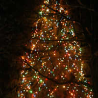 <p>Have you seen Fairfield&#x27;s Christmas Tree in front of Town Hall yet?</p>