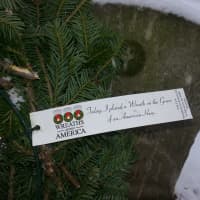 <p>The tag on a WAA wreath placed on a veterans grave at St. Pauls reads Today, I placed a Wreath on the Grave of an American Hero.</p>