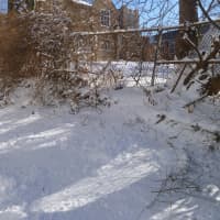 <p>Local libraries closed as a result of the  snowstorm.</p>