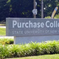 <p>Purchase College</p>