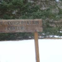 <p>The Wolf Conservation Center in South Salem is home to 21 wolves.</p>
