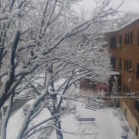 <p>Tuckahoe covered in snow Monday afternoon.</p>
