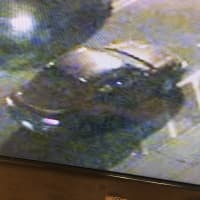 <p>The two suspects left in a red or maroon vehicle, with a missing rear passenger side hubcap.</p>