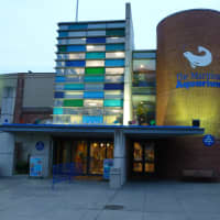 <p>The Maritime Aquarium&#x27;s lease with Norwalk is up for renewal Tuesday, and a labor union says it plans to challenge the aquarium on behalf of cleaners who worked there until last year. </p>