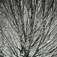 <p>In a letter to the editor, photographer Jerry Spette reminded residents why winter storms aren&#x27;t always bad. </p>