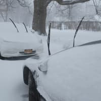 <p>Westchester residents woke up to yet another snowstorm.</p>