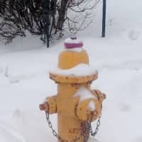 <p>Fire departments across Fairfield County remind residents to dig out fire hydrants in their neighborhoods. </p>