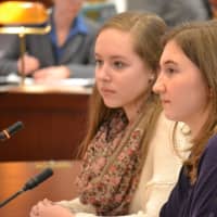 <p>Millie Cunningham of Norwalk and Kirsi Balazs of Stamford speak to a committee of the Connecticut General Assembly in Hartford last week.</p>