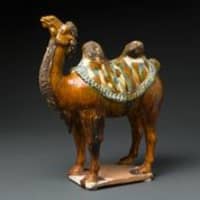 <p>Several ceramic Bactrian camels were part of the gift the Brooks family gave to the Bruce Museum. </p>