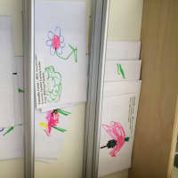 <p>Some of the envelopes decorated and labled for Fairfield&#x27;s seed to seed library. </p>