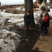 <p>Wilton resident Sarah Santisi said that she and her sons, Logan 6 and Kyle 4, went to the open house last year and have always enjoyed Ambler  Farm.</p>
