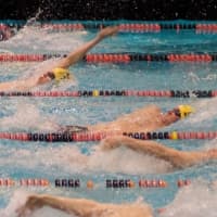 <p>From top, Connor Rainey, Bobby McDowell and Tommy Kealy compete in the backstroke.</p>