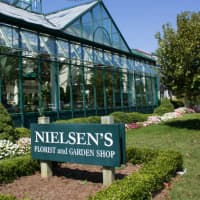 <p>The still-family-owned Nielsen&#x27;s Florist will celebrate its 70th anniversary in April.</p>