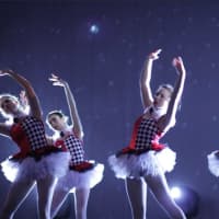 <p>The Company, which has been in Yorktown since 1974, will receive an award from ArtsWestchester in April.</p>
