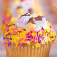 <p>Cupcakes are Sweet and Social in Larchmont&#x27;s bread and butter.</p>