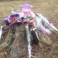 <p>Items have been placed on a tree stump along Ridgebury Road in Ridgefield in memory of Emma Sandhu, who was killed last Friday night while walking along the road near her home.</p>