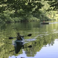 <p>Kayakers enjoy viewing many beautiful species of fish, birds, and other wildlife</p>
