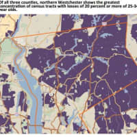 <p>The shaded areas indicate areas that have lost more than 20 percent of their 25-34 year old populations between 2000 and 2007-2011 in northern Westchester. </p>
