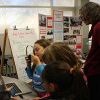 <p>The students&#x27; exhibits were put on display in the Eastchester Middle School Gym.</p>