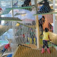 <p>The Luckey Climber feature similar to the one that will be  at the Westchester Children&#x27;s Musem.</p>