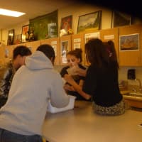 <p>Peekskill Middle School&#x27;s environmental club is working on cleaning the Hudson River.</p>
