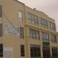 <p>Pooch Hotel is located on East Avenue, right next to the East Norwalk train station.</p>