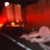 <p>The truck spilled a load of paper onto northbound I-95.</p>