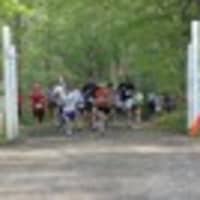 <p>The starting line at the &#x27;Where the Wild Things Run&#x27; trail race at the Woodcock Nature Center in Wilton. </p>