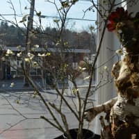<p>The mannequin Anastasia is displayed by the window of Whispering Pines.</p>