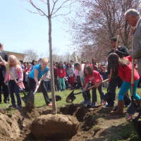 <p>Wolfpit Elementary School students and Norwalk officials plant a red maple tree in celebration of Arbor Day.</p>