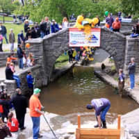 <p>The Tarrytown Rotary&#x27;s Annual Rubber Duck Derby raises funding for causes in the community.</p>