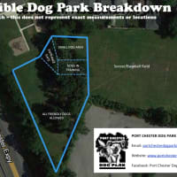 <p>The proposed Port Chester Dog Park would be at Abendroth Park&#x27;s upper level. </p>