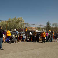 <p>The White Plains PTA Council gave out around 10,000 books at the Free Book Celebration. </p>