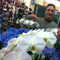 <p>Jim Ferraro, of Stamford Florists, at 625 Bedford St., said Mother&#x27;s Day is a busy time of the year for his business. He said the shop enjoys a loyal clientele.</p>
