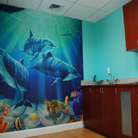 <p>The walls of Smile Under the Sea in Eastchester are adorned with seascapes.</p>