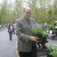 <p>Ossining Mayor William Hanauer poses with some of his favorite plants at Teatown&#x27;s annual plant sale. </p>