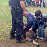 <p>Children line up to pet a friendly off-duty police dog. </p>