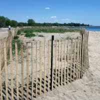 <p>A fence around a sane dune at Sherwood Island State Park.</p>