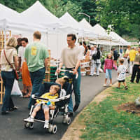 <p>Shoppers will fill Tarrytown&#x27;s Patriot Park Saturday mornings from 8:30 a.m.-1 p.m. for the Down to Earth Market.</p>