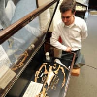 <p>Daniel Ksepka examines a giant fossil penguin. He will be the Bruce Museum&#x27;s new Curator of Science and begins in June.</p>