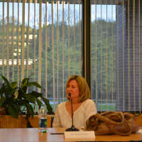 <p>Carolyn Aversano (pictured) was elected to the North Salem school board.</p>
