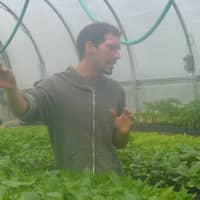 <p>Max Zenke in one of Hilltop Hanover&#x27;s greenhouses. </p>