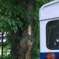 <p>The Stanwich School bus hit a tree Wednesday afternoon at the intersection of Stanwich Road and Pine Ridge Road in Greenwich. </p>